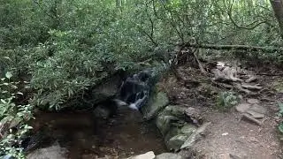 Boone Fork Trail September 2025