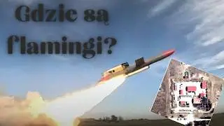 Kiedy flamingi polecą na Rosję?