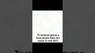 hommage a tyloup 3
