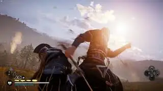 Zealot  Wealdmaer (Spear-Wielding and Agile) (Assassin's Creed: Valhalla)