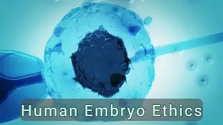 Embryo Ethics: The Big Debate | #EmbryoEthics#Bioethics#StemCellResearch#GeneEditing