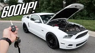 DRIVING HIS NEW 600HP MUSTANG GT! (SHE RIPS!)