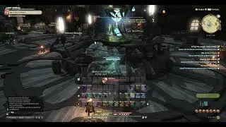 Got my Personal Chocobo mount