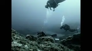 Favone plong&eacute;e