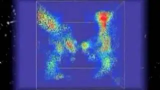 Large Scale Structure of Universe