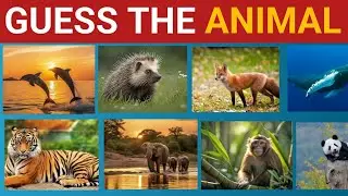 Guess The Animal In 5 Seconds | Easy, Medium,Hard,Impossible 