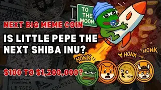 IS LITTLE PEPE THE NEXT SHIBA INU?! 🔥 Massive Bull Run Coming in 2025