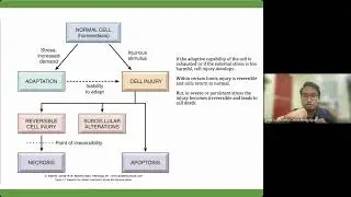Video 2.1: Cellular Adaptation