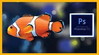 Digital Speedpaint: Clown Fish