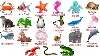 Water and aquatic animals are named in English and Kannada//Water Animals//ನೀರು ಮತ್ತು ಜಲಚರಗಳ ಹೆಸರು