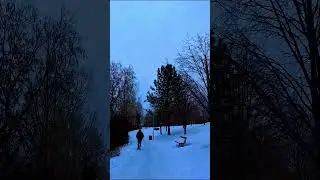 This Is How Winter Walks Feel in Canada ❄️ #snow #relaxingwalk #britishcolumbia#shorts #asmr