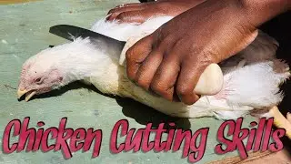 Amazing Chicken Cutting Skills