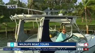 Scenic Boat Tours with Captain Jack in Southwest Florida
