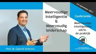 Meervoudige Intelligenties & Meervoudig leiderschap (aMI)