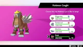 Shiny Entei 7th Dynamax Adventure Max Lair