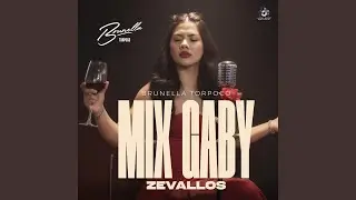 Mix Gaby Zevallos