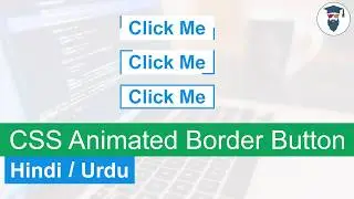 CSS Animated Border Button Tutorial in Hindi / Urdu