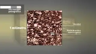 C&oacute;mo es el reservorio Shale en Vaca Muerta