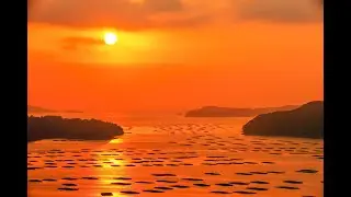 The Beauty of the Cities of the Inland Sea: Bizen and Setouchi Pottery and Food Festival