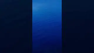 4264 1020881 mp3