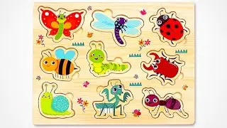 Preschool Bug Adventure! 🐞🦋🐝 Learn Insects with Activity Puzzles