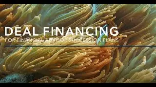 Deal Financing for Financial Advisor Succession Plans