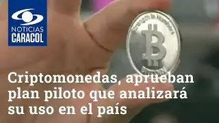 Ante el auge de las criptomonedas, aprueban plan piloto que analizar&aacute; su uso en el pa&iacute;s