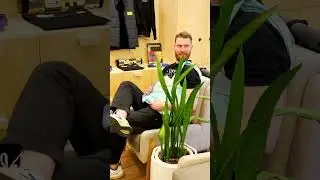 о компании PINQ 2024