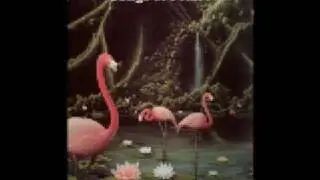 Scripture in Song - Songs of Praise 2 - Medley 1