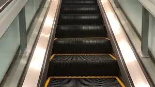 Schindler Escalator at Ron Jon Surf Shop - Disney Springs - Lake Buena Vista, FL