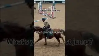 Day 2 highest jump? #naturalhorsemanship #showjumping #fy #fyp #viral #cute #horse #horses #pony