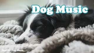 Healing Music for Dogs 🐶 Separation Anxiety Relaxing Music 🐶 Calming Music