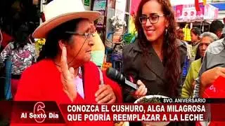 El cushuro, el alimento del futuro
