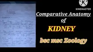 comparative anatomy of vertebrae kidney in Hindi #kidney #malpighiantubule #zoologynotes #bsc1styear