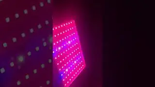 INDOOR LED 1000w Full Spectrum