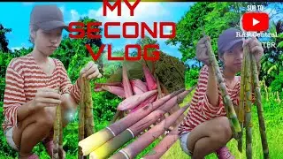 my second vlog❤️🙏😭👇#mysecondvlog #mysecondblogs