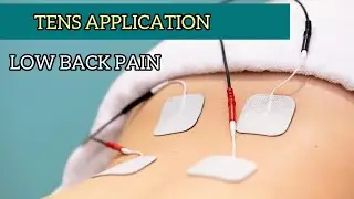 Treatment of Waist Pain|Focus on Physical Therapy|Side effect-free pain management approach.
