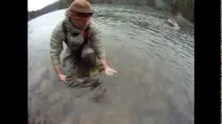 Bulkley River Lodge Video