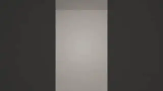 Patna ka mashhur painter