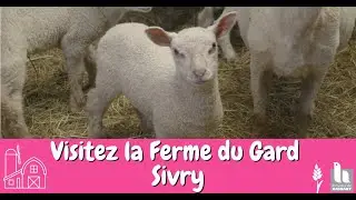 Visitez la Ferme du Gard - Sivry