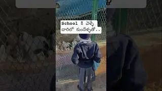 rabbits ante ma pillalalki chala istam#rabbits#ytshorts#trending