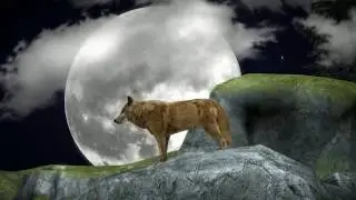 Arctic Wolf Family Simulator Wildlife Games