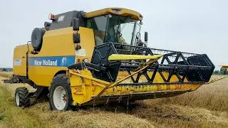 Oporowe żniwa w akcji New Holand TC 5070🌾🌾💪💪💪