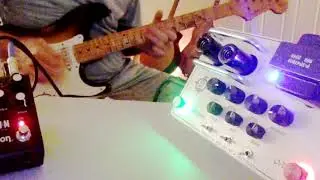 Best Amp Tones for Recording from Strymon Iridium + Best Dumble Tone from a Tube Preamp Pedal.