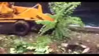 The Stump Guy - San Antonio Stump Removal