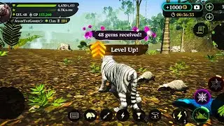 The Tiger- Tropical Forest Coop And Level Up To 48