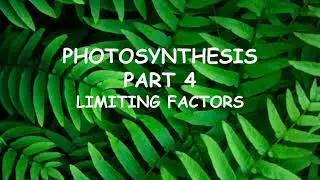 CCEA GCSE Biology Unit 1: Photosynthesis 4 limiting factors