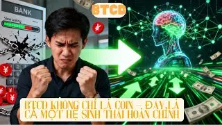 BTCD Kh&ocirc;ng Chỉ L&agrave; Coin &ndash; Đ&acirc;y L&agrave; Cả Một Hệ Sinh Th&aacute;i Ho&agrave;n Chỉnh