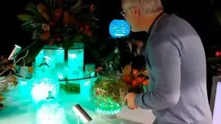 Point n Party Series RGB Remote Control Demo by Acolyte