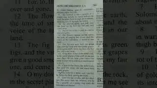 Beloved/ Song of Solomon 2:9-17#bibleverse #poetry #shorts @thewordpodcastke